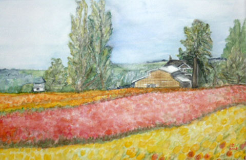 Tulpenfelder