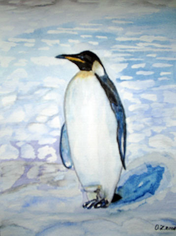 Königspinguin