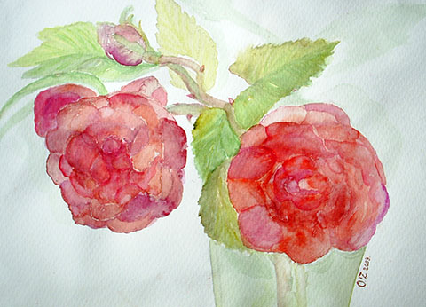 Rosen in der Vase