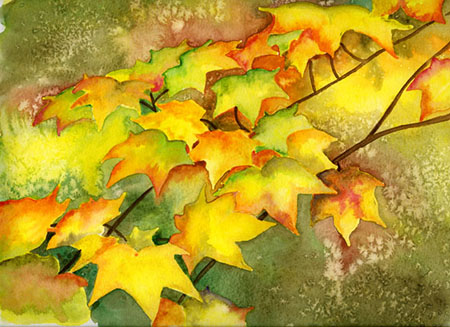 Herbst - Farben
