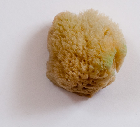 Naturschwamm