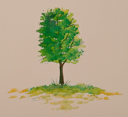 Borstenpinselbaum Teil 3