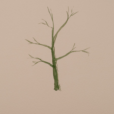 Fächerpinselbaum  Teil 1