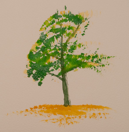 Fächerpinselbaum  Teil 2