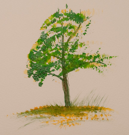 Fächerpinselbaum  Teil 3
