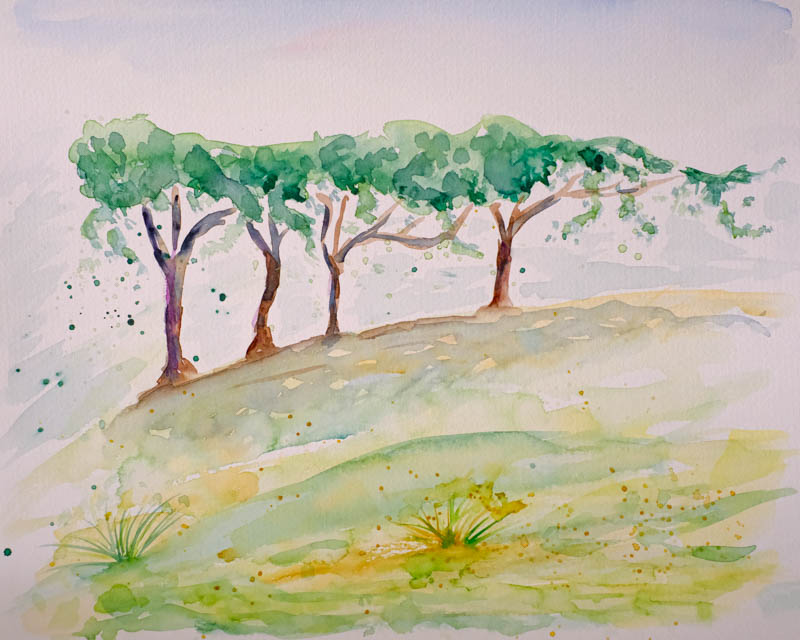 Aquarell Weinreben von Bernd Schmidt
