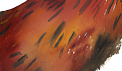 Gummiarabikum in der Aquarellmalerei