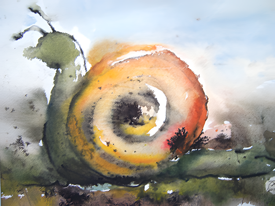 Aquarell Schnecke von Karin Mersmann