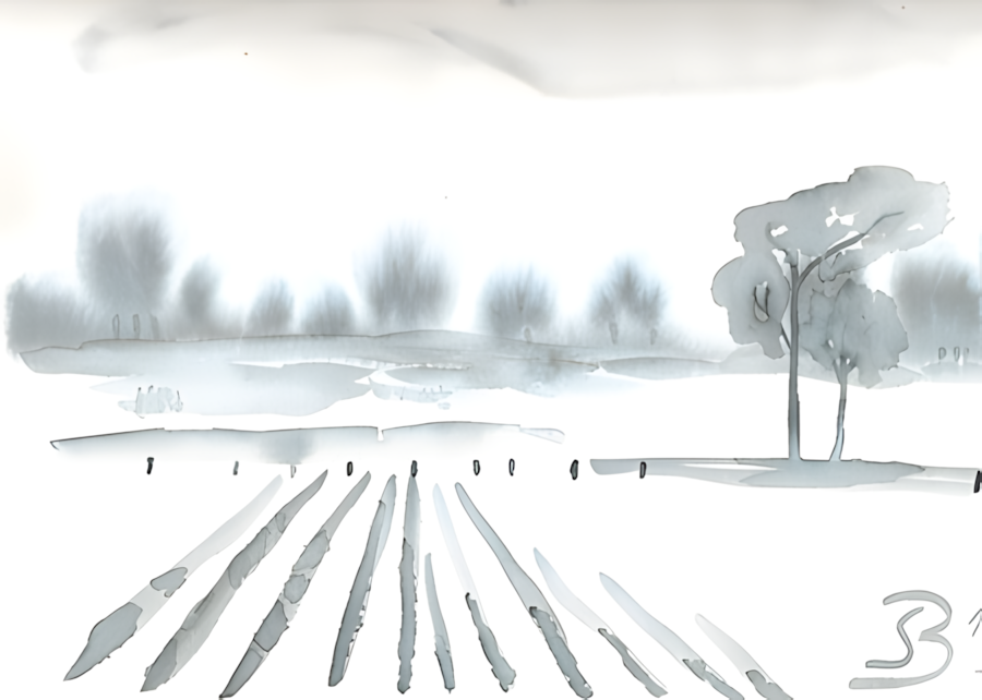 Aquarell Acker mit Bäumen von Bernd Schmidt