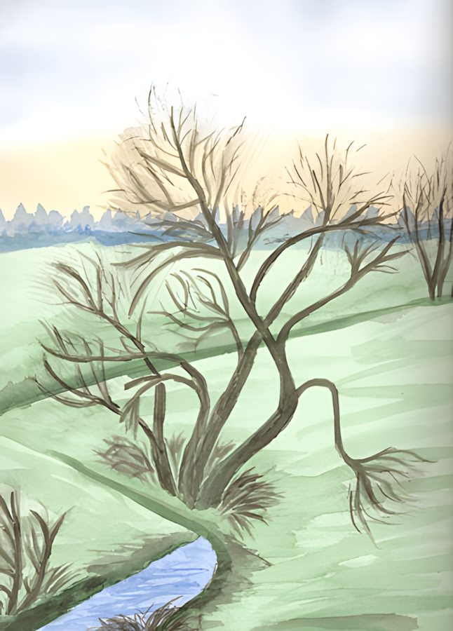 Aquarell Weide am Back von Bernd Schmidt