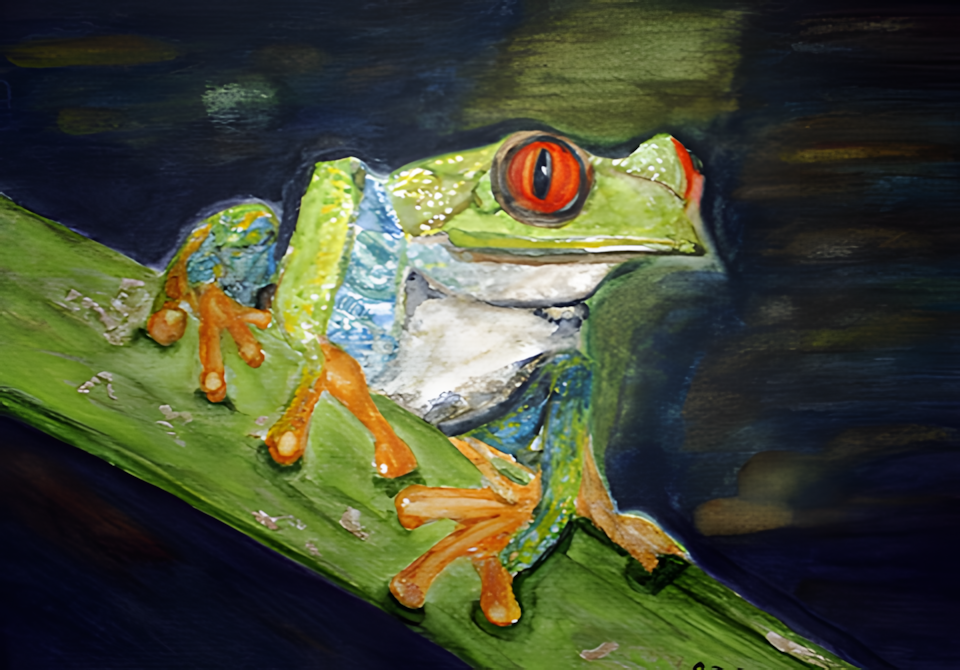 Aquarell Frosch von Oksana Ziegenbalg