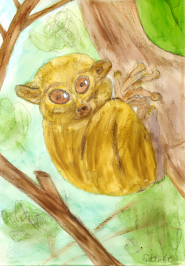 Aquarelle Koboldmaki von Sandra Steinke