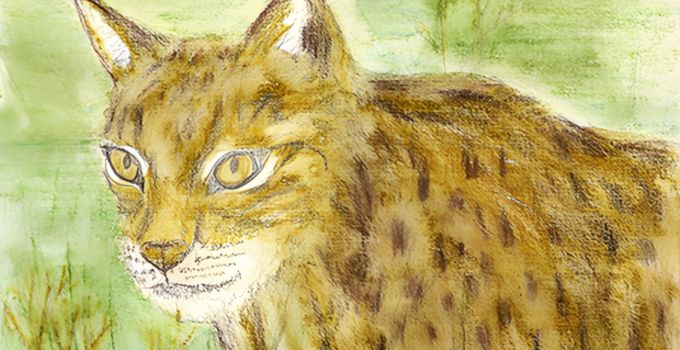 Aquarellmalerin Sandra Steinke