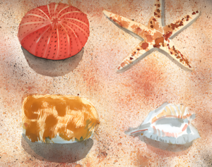 Aquarell Strand von Bernd Schmidt