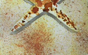 Zahnbürste in der Aquarellmalerei