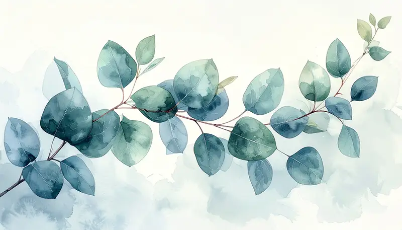 Aquarell Eukalyptuszweig