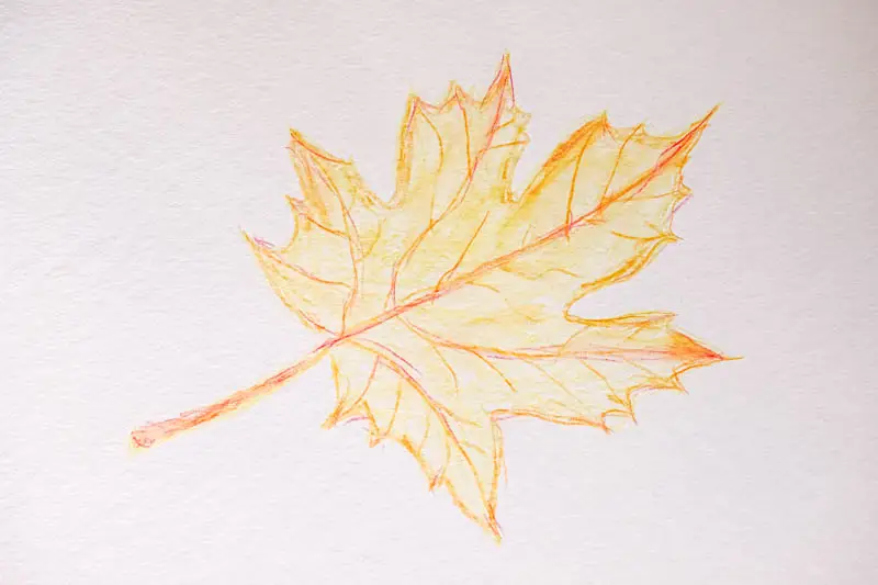 Einfaches Blatt mit Aquarellstiften gemalt